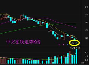 中文在線300364限售股解禁 能否助公司走出低谷，重振互聯網文化活動？