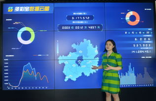 數(shù)博會(huì)擦亮貴陽(yáng)大數(shù)據(jù)名片——專訪貴州多彩寶互聯(lián)網(wǎng)服務(wù)副總經(jīng)理夏杰